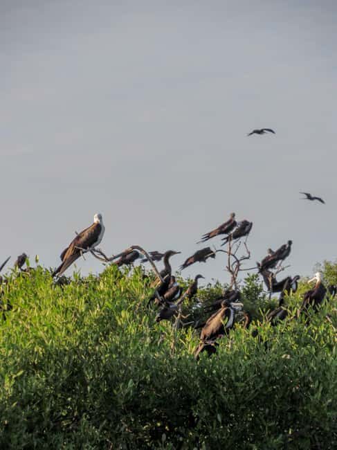 Rio Lagartos and San Felipe: Cerritos Island, adventure tour and Mayan culture. - The Value of a Small, Private Group Experience