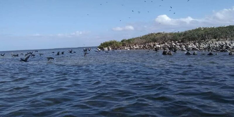 Rio Lagartos and San Felipe: Cerritos Island, adventure tour and Mayan culture. - The Sum Up: A Genuine, Eco-Friendly Escape