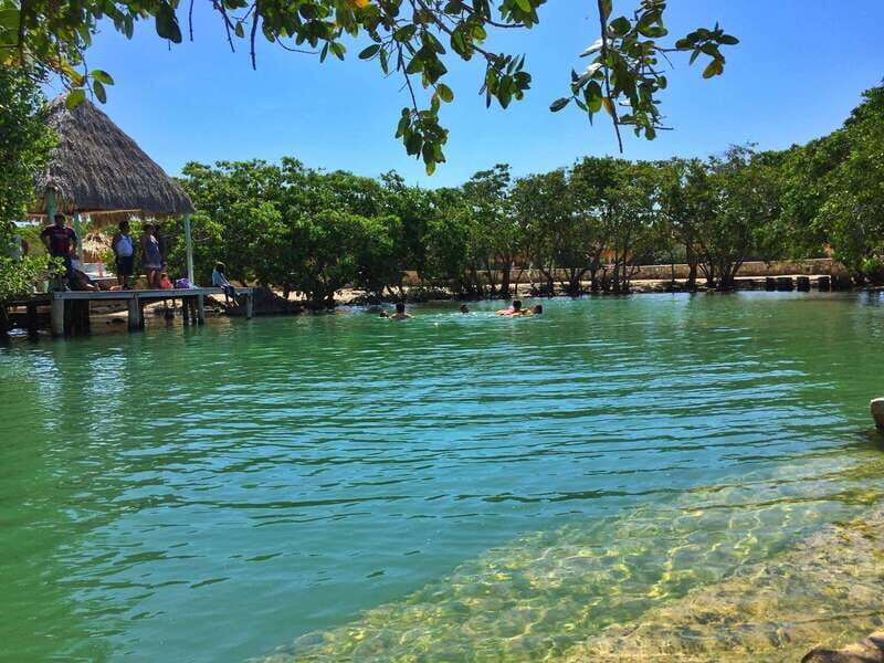 Rio Lagartos Expedition: boat journey through the mangrove - A Genuine Look at the Rio Lagartos Boat Tour