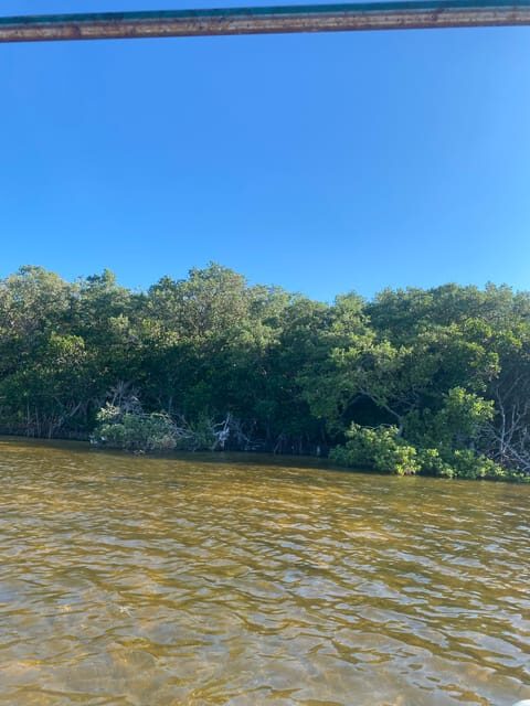 Rio Lagartos Expedition: boat journey through the mangrove - Final Thoughts