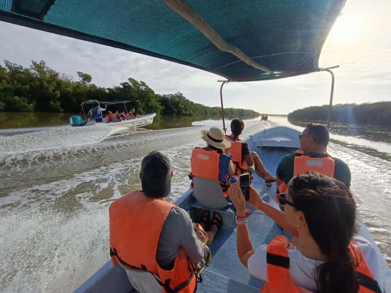Rio Lagartos: Tour and Gastronomy - Rio Lagartos: Tour and Gastronomy — A Complete Travel Experience in Yucatán