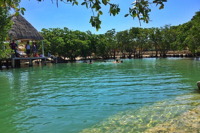Rio Lizards and Las Coloradas Ecosafari Maya Natural Experience - Who Will Love This Tour?
