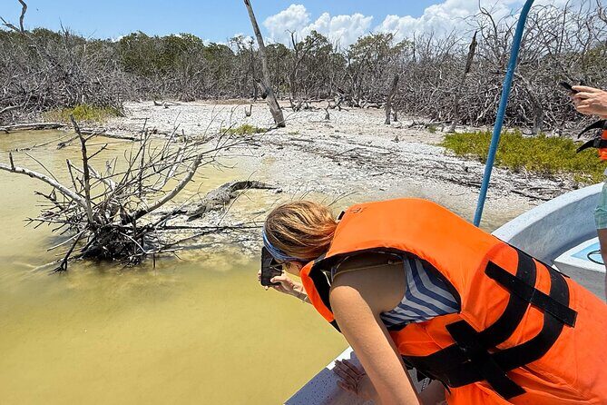 Rio Lizards and Las Coloradas Ecosafari Maya Natural Experience - Final Thoughts