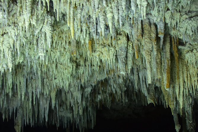 Río Secreto Playa del Carmen - Frequently Asked Questions (FAQs)