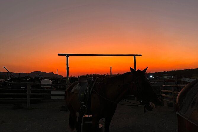 Rise and Shine 75 Minutes Early Morning Ride - Final thoughts