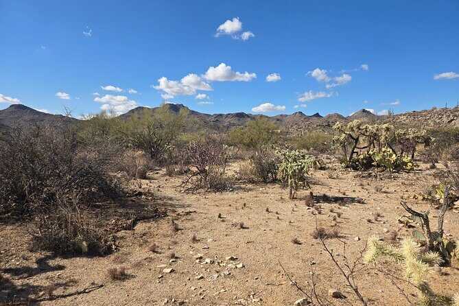 Ritz Dove Mountain and Totolita Hiking - An Introduction to the Experience
