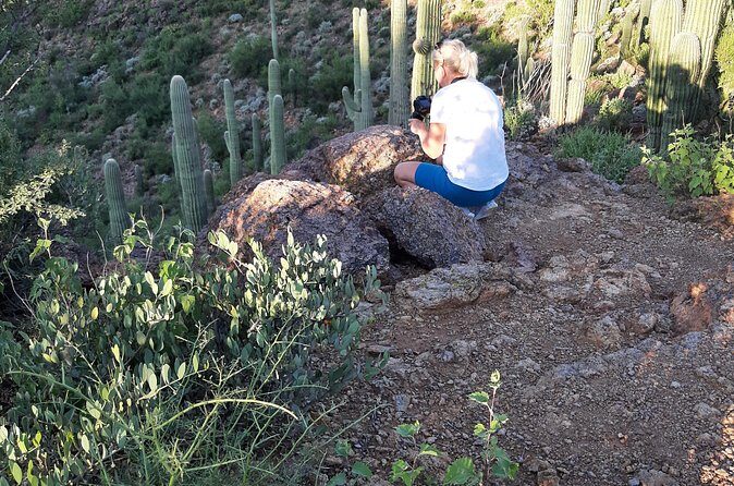 Ritz Dove Mountain and Totolita Hiking - The Sum Up