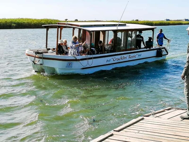 River Cruise and Game Drive Tour - A Detailed Look at the Experience