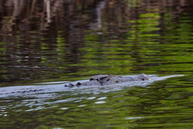 River Cruise - FAQs