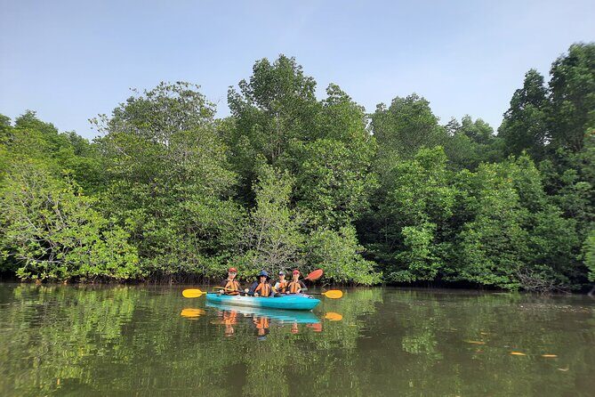 River Exploration and Mangrove Nature Tour by kayaking - The Full Itinerary: A Step-by-Step Breakdown