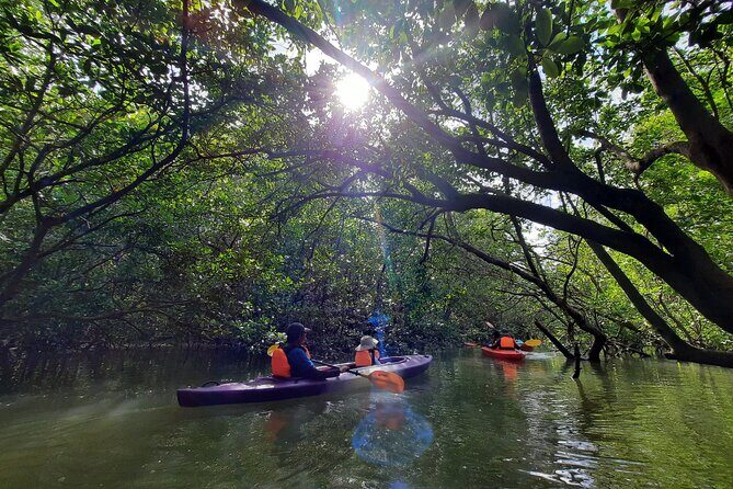 River Exploration and Mangrove Nature Tour by kayaking - Practical Tips for Participants