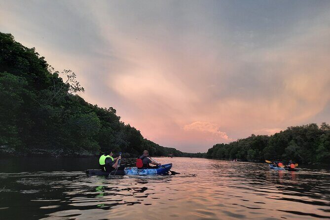 River Exploration and Mangrove Nature Tour by kayaking - The Sum Up