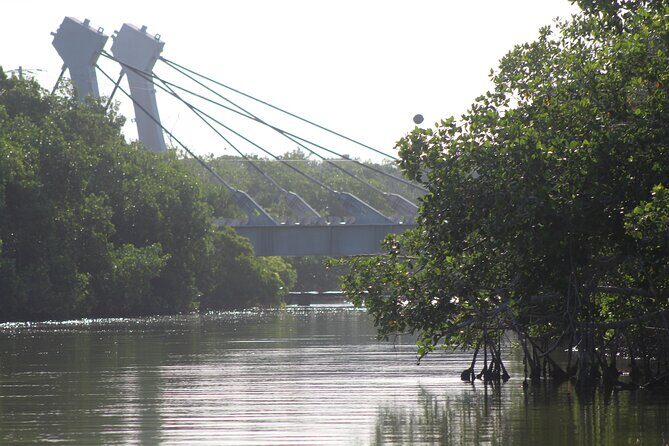 River Lizards Boat Tour for Flora and Fauna Observation - Who Will Love This Tour?