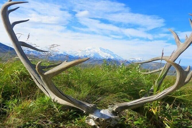 River Rafting in Alaska Wilderness - Ideal for Whom?