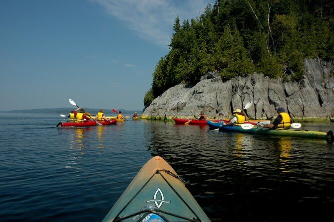 River Relics Kayaking Adventure - What the Reviews Say