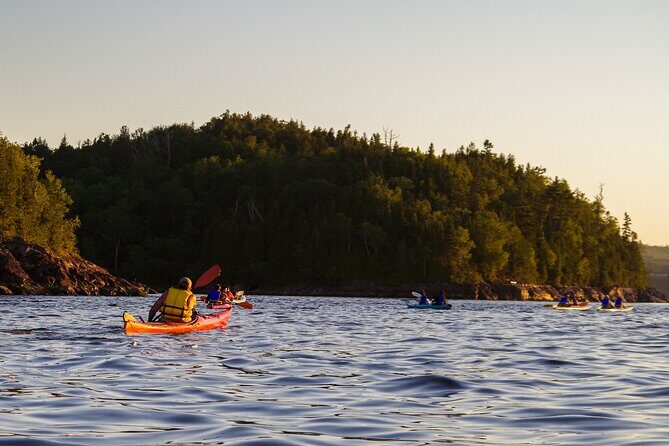 River Relics Kayaking Adventure - Who Would Enjoy This Tour?