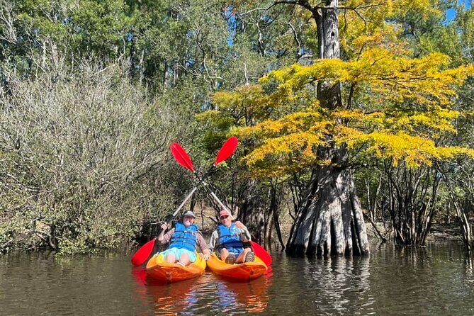 River Tubing & Kayaking - Reviews and Authentic Perspectives