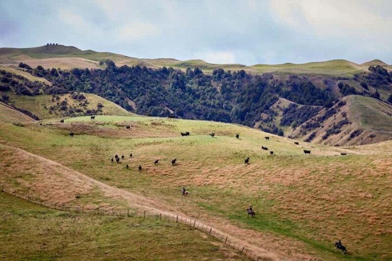 River Valley Lodge: High Country Enchantment Horse Trek - An Authentic Horseback Adventure in New Zealand’s High Country