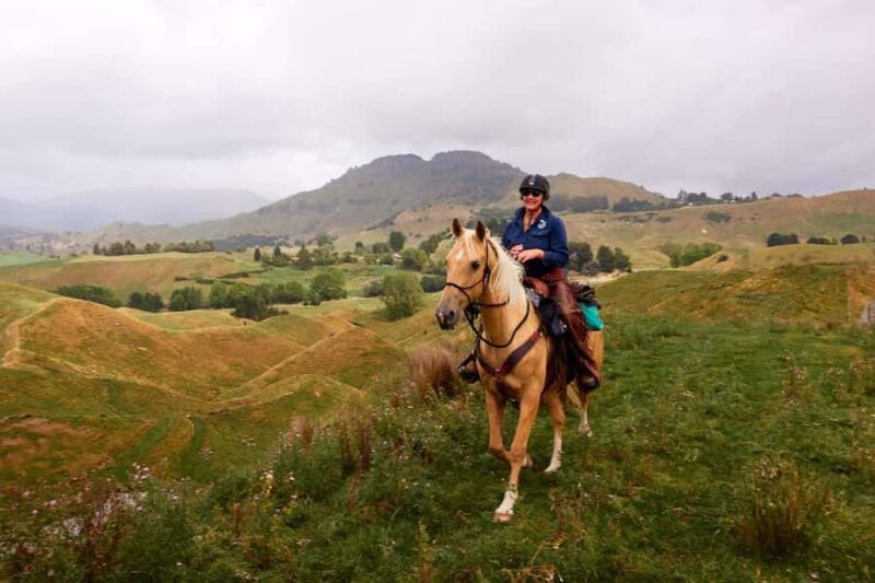 River Valley Lodge: High Country Enchantment Horse Trek - The Sum Up