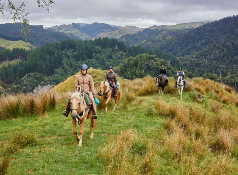 River Valley Lodge: High Country Enchantment Horse Trek - FAQ