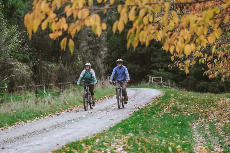 River Valley Lodge: River Valley E-Bike Rental with Lunch - Practical Concerns and Tips