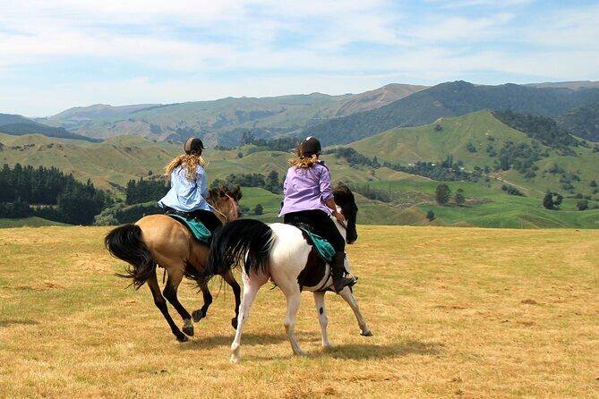 River Valley Stables - Burn The Breeze, Half Day Horse Ride For Riders - An In-Depth Look at the Experience
