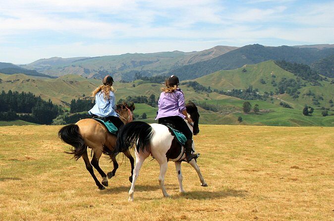 River Valley Stables - Burn The Breeze, Half Day Horse Ride For Riders - The Sum Up