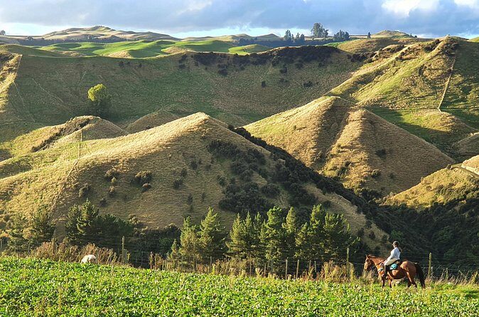 River Valley Stables - Burn The Breeze, Half Day Horse Ride For Riders - FAQ