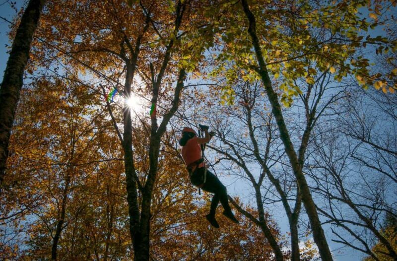 River Ziplines - Nature Tours - An In-Depth Look at the Experience