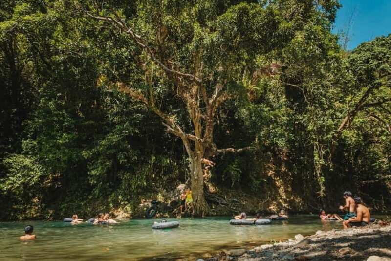 Riverside Jungle Trip & Sunset Boat Party by Haqqy Life - Who Would Enjoy This Tour?