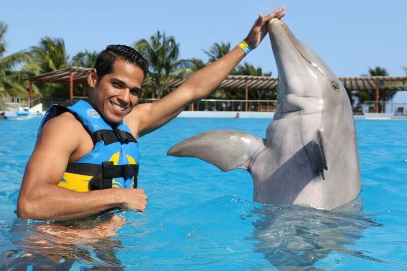 Riviera Maya: Dolphin Encounter with Beach Club Access - The Value of the Encounter and Beach Relaxation