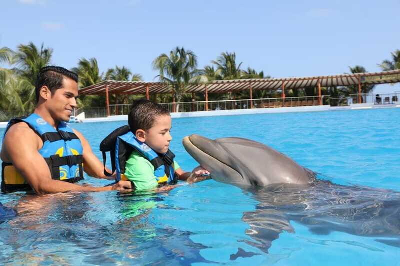 Riviera Maya: Dolphin Encounter with Beach Club Access - Considerations and Possible Drawbacks