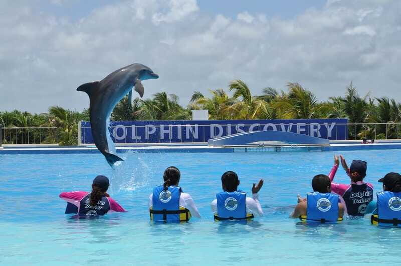 Riviera Maya: Dolphin Encounter with Beach Club Access - A Balanced Perspective on the Tour