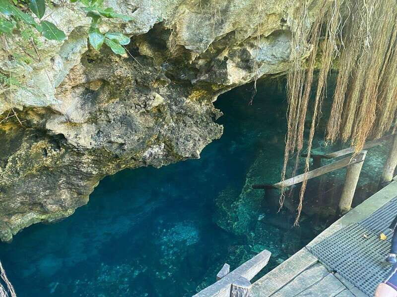 Riviera Maya: Half Day Jaguar Cenote and Zipline Adventure - Exploring the Itinerary in Detail