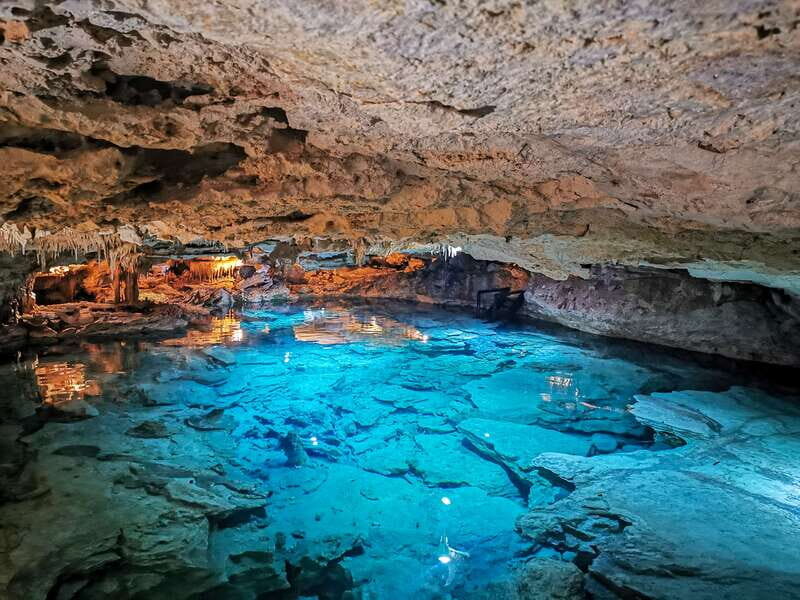 Riviera Maya: Kantun Chi Cenotes, Snorkel & Jungle Hiking - Riviera Maya: Kantun Chi Cenotes, Snorkel & Jungle Hiking – A Detailed Look