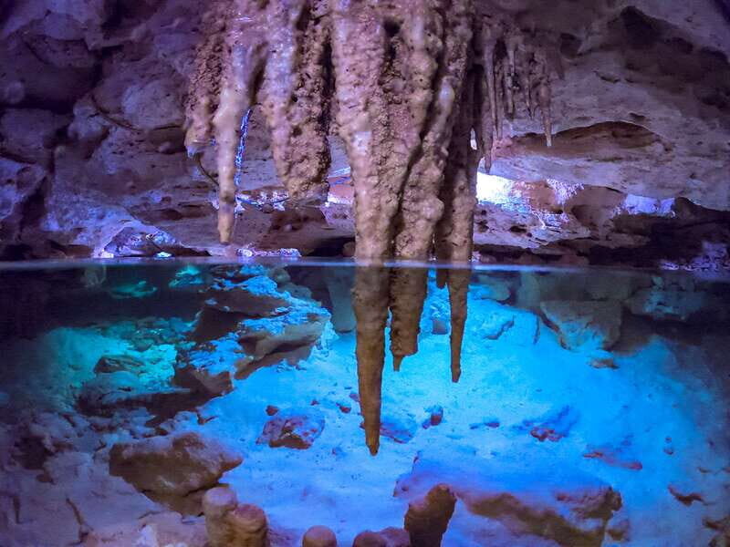 Riviera Maya: Kantun Chi Cenotes, Snorkel & Jungle Hiking - What Makes This Tour Stand Out?