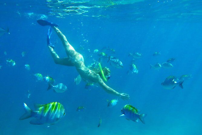 Riviera Maya Luxury Snorkeling Cruise with Lunch and Drinks - The Sum Up
