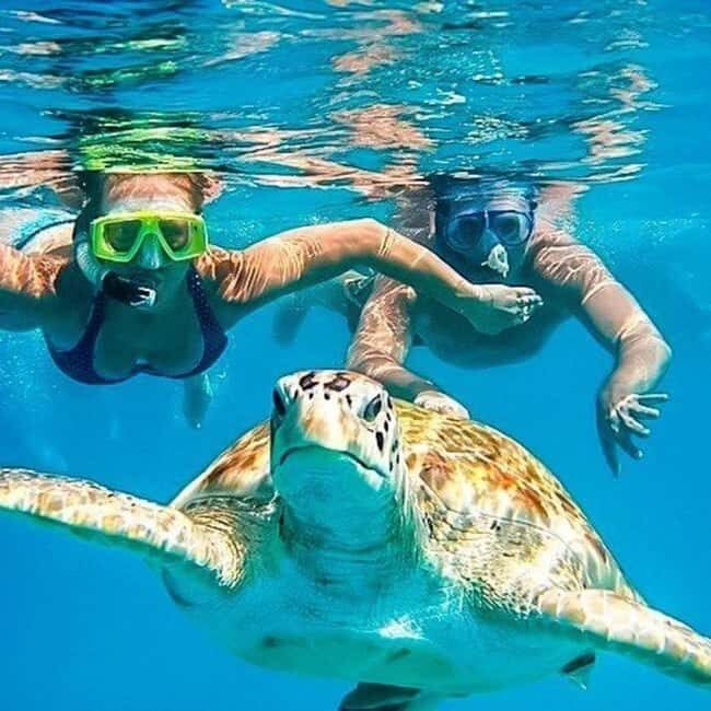 Riviera Maya: Nado con Tortugas, Cenote y Almuerzo mexicano. - An In-Depth Look at the Riviera Maya Tour Experience