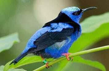 Riviera Maya: Puerto Morelos 4-Hour Bird Watching Tour - An In-Depth Look at the Tour Experience