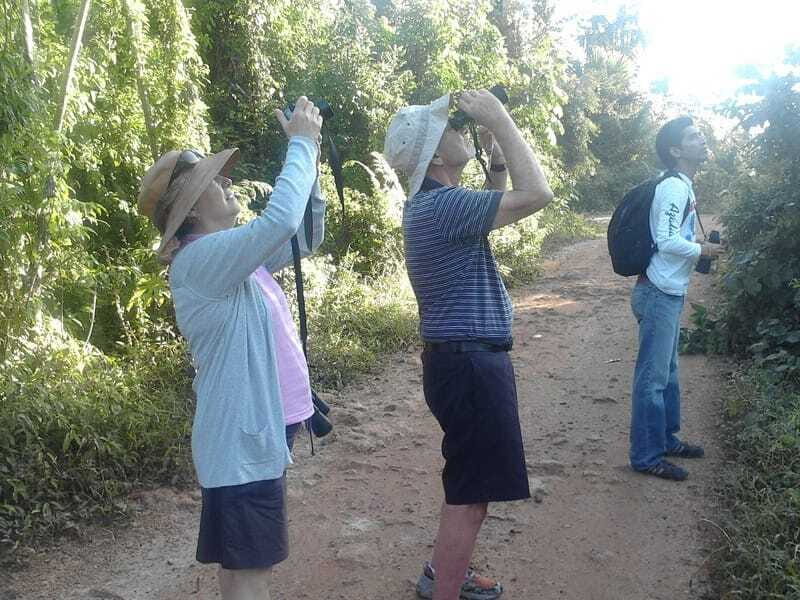 Riviera Maya: Puerto Morelos 4-Hour Bird Watching Tour - Frequently Asked Questions