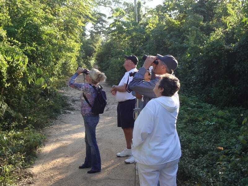 Riviera Maya: Puerto Morelos 4-Hour Bird Watching Tour - Final Verdict
