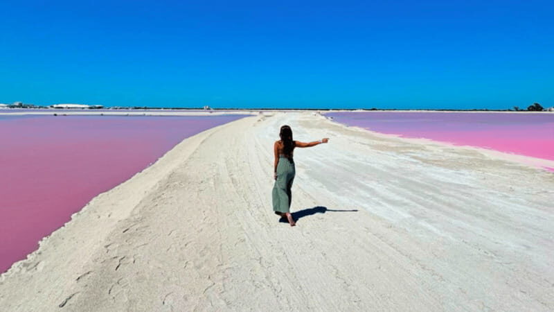 Riviera Maya: Rio Lagartos & Las Coloradas Day Trip w/Lunch - Key Points