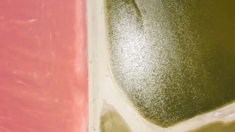Riviera Maya: Rio Lagartos & Las Coloradas Day Trip w/Lunch - An In-Depth Look at the Tour Experience