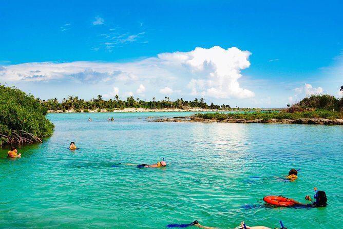 Riviera Maya Snorkeling Adventure: Lagoon, Cenotes Open & Cavern - Who Should Book This Tour?