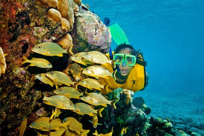 Riviera Maya Snorkeling Adventure: Lagoon, Cenotes Open & Cavern - FAQ