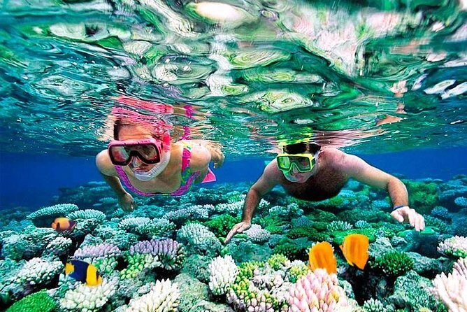 Riviera Maya Snorkeling - A Detailed Look at the Riviera Maya Snorkeling Tour