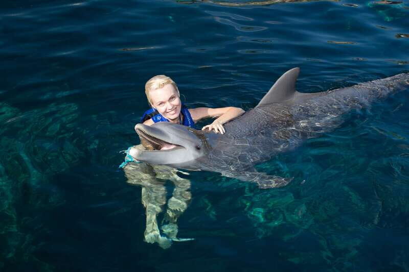 Riviera Maya: Swim with dolphins Interax - What to Expect from the Dolphin Experience