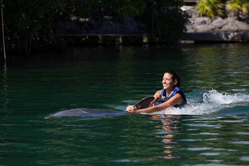 Riviera Maya: Swim with dolphins Interax - How It Compares to Other Dolphin Tours