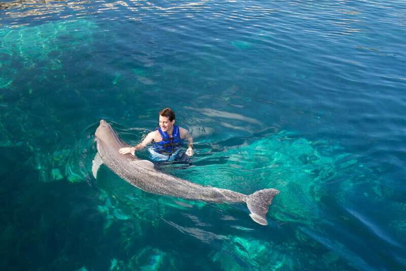 Riviera Maya: Swim with dolphins Interax - Authentic Experiences and Guest Feedback