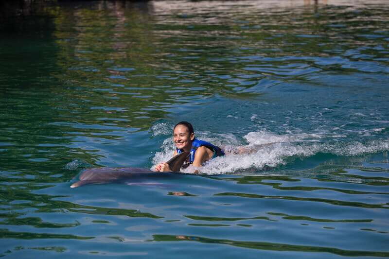 Riviera Maya: Swim with dolphins Interax - The Sum Up: Is This Tour Right for You?